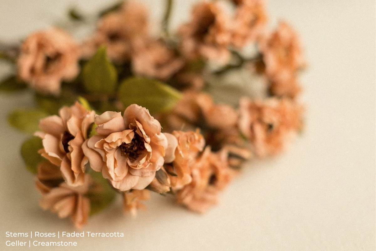 Stems | Roses