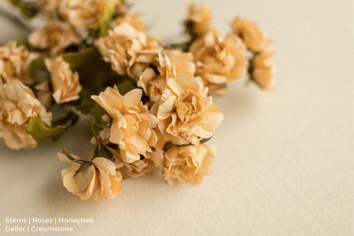 Stems | Roses