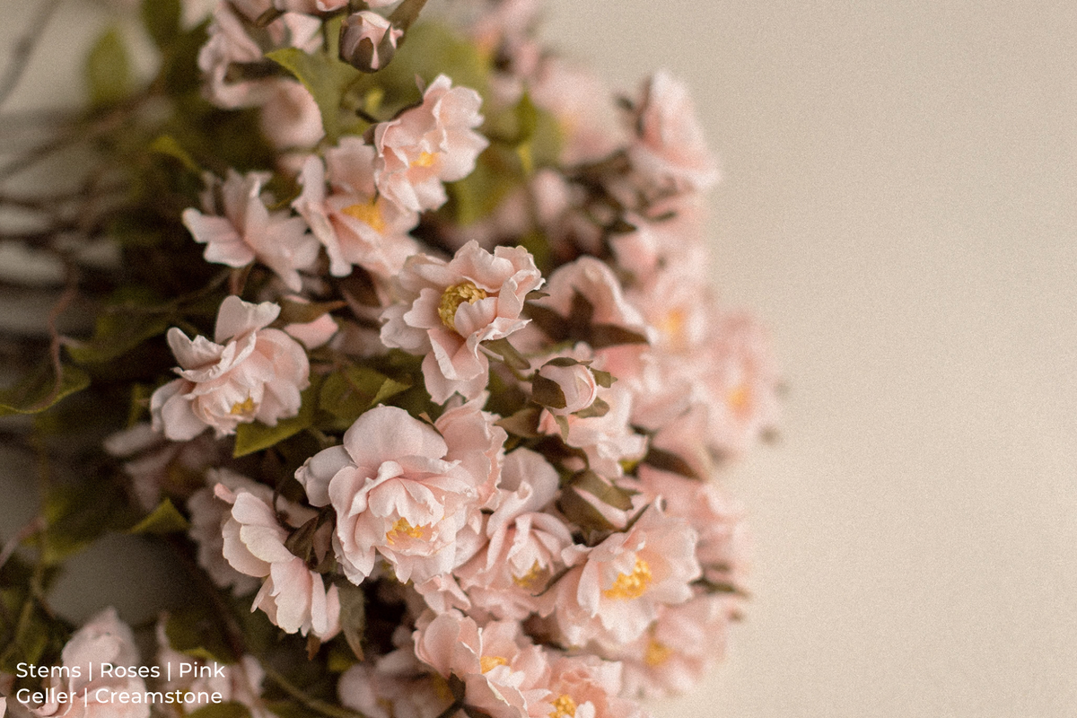 Stems | Roses