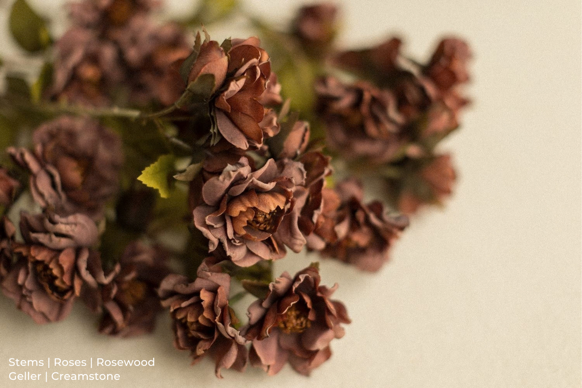 Stems | Roses