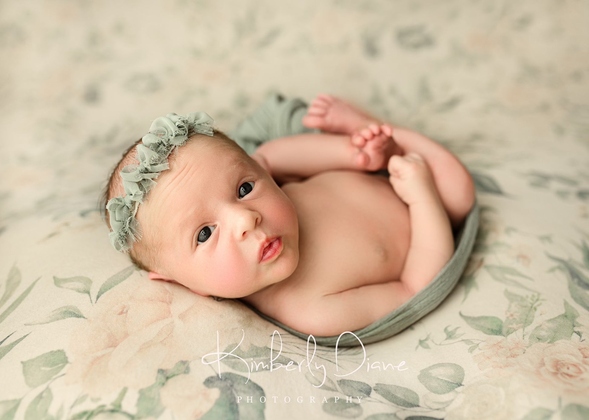 Credit Kimberly Diane Photography