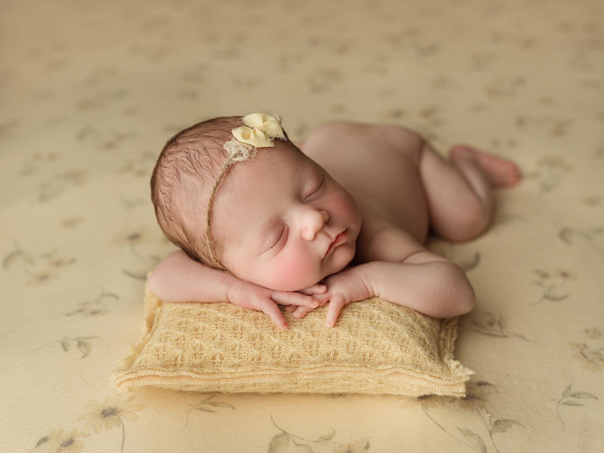 Credit Kimberly Diane Photography