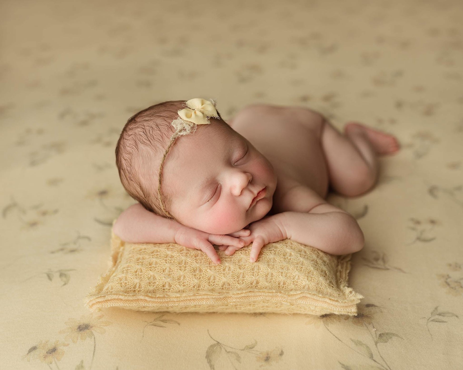 Credit Kimberly Diane Photography