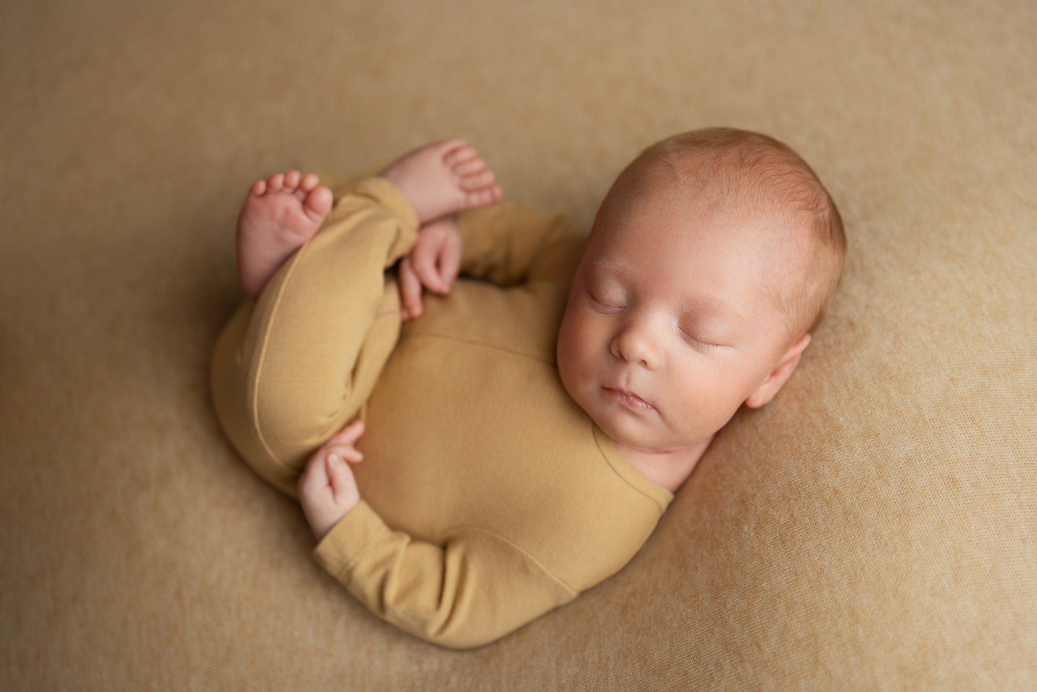 Credit Abby Nelson Photography