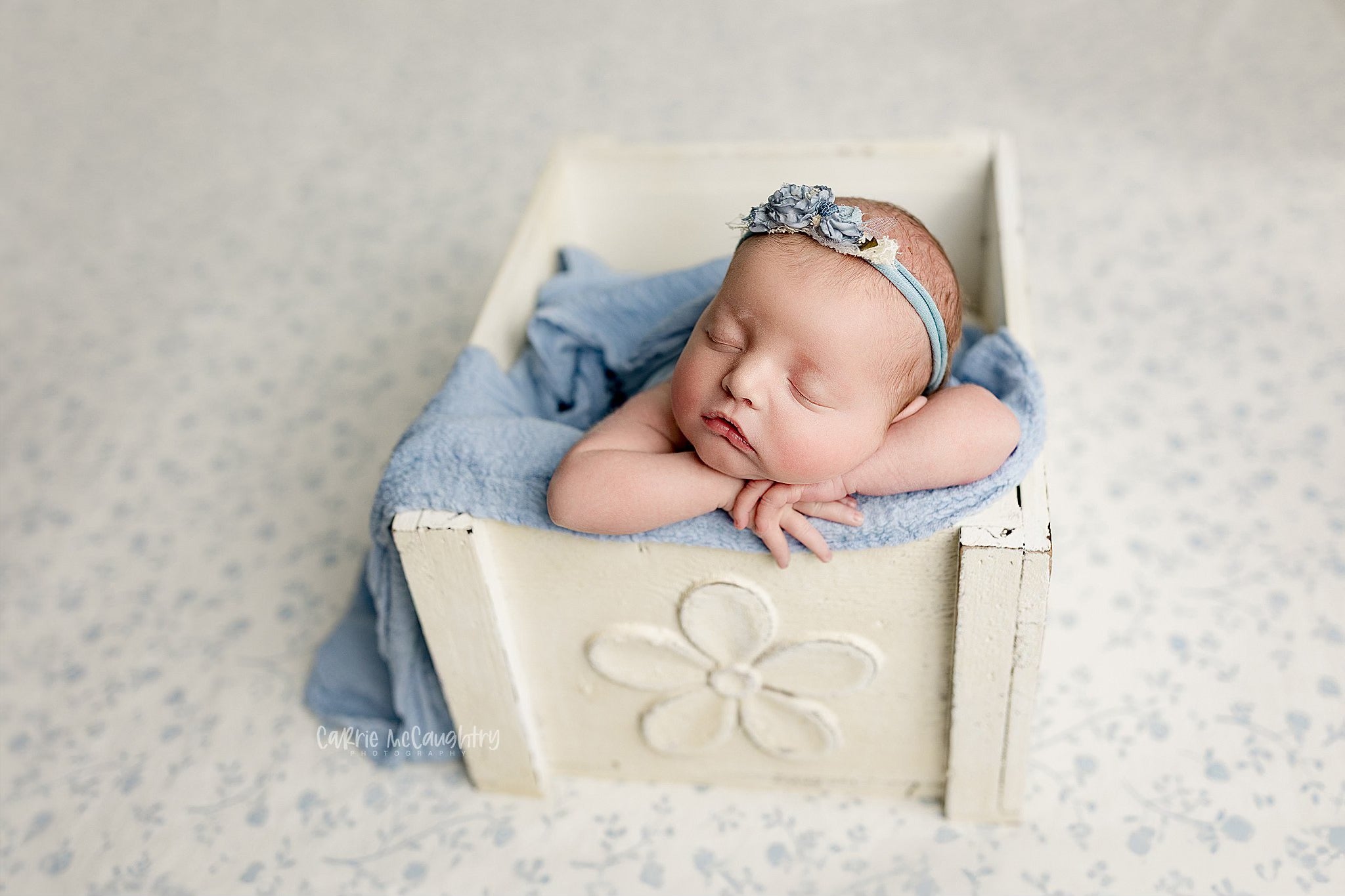 Credit Carrie McCaughtry Photography