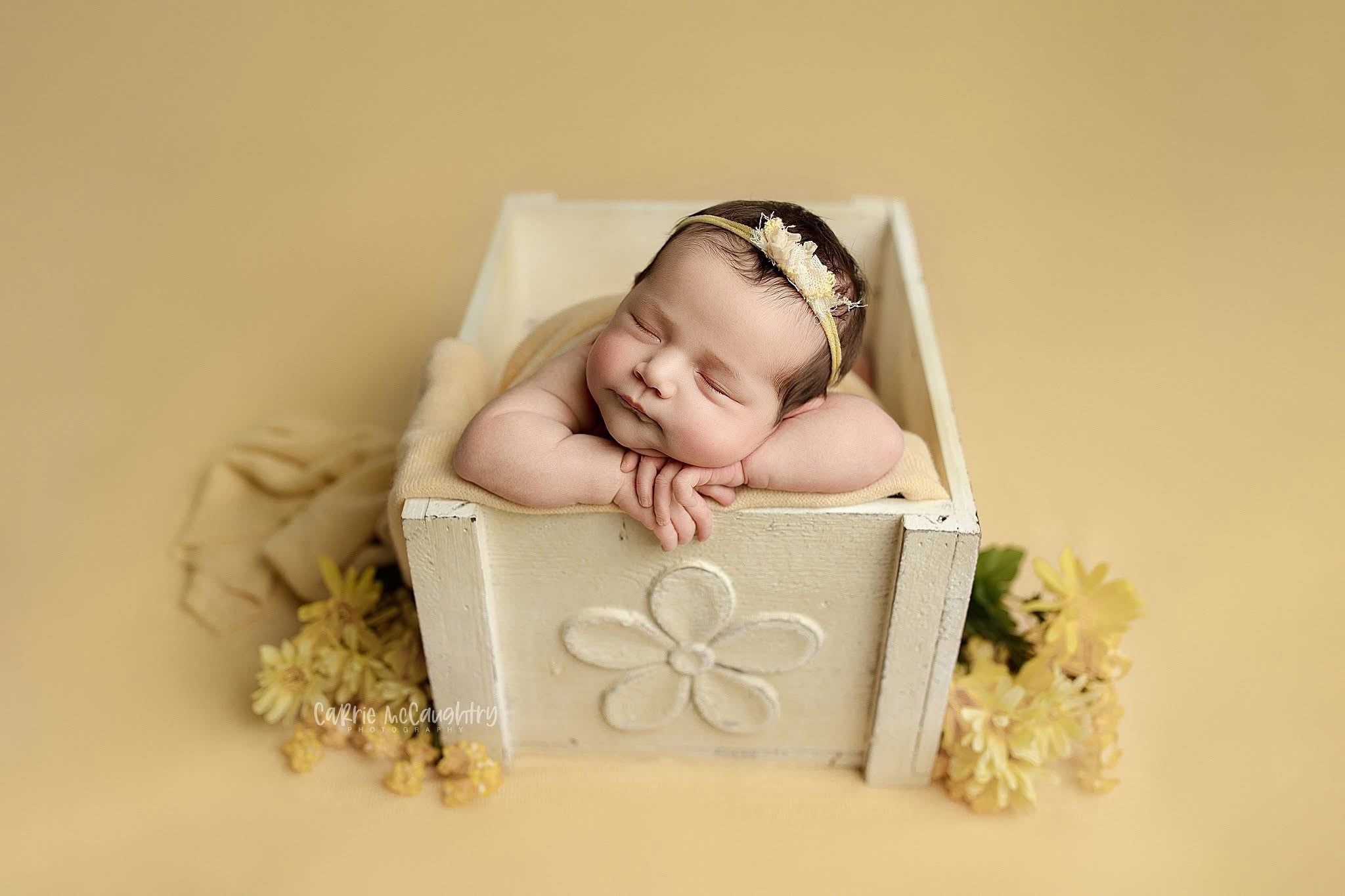 Credit Carrie McCaughtry Photography