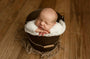 Credit Haleigh Lyn Photography