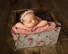 The Everlasting Crate