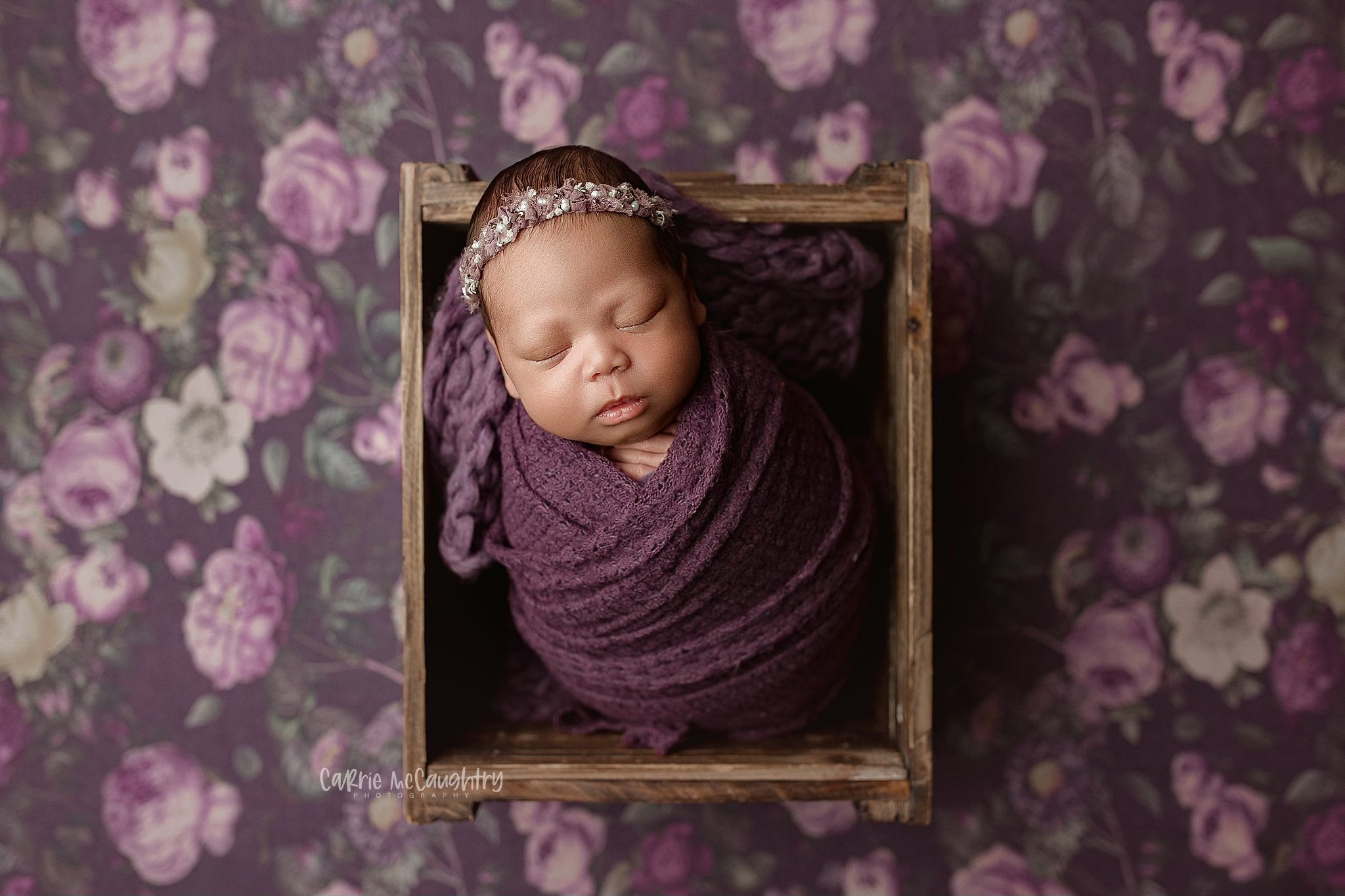 Credit Carrie McCaughtry Photography