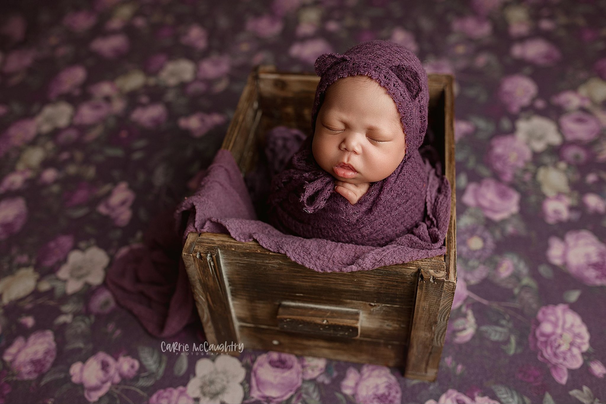 Credit Carrie McCaughtry Photography