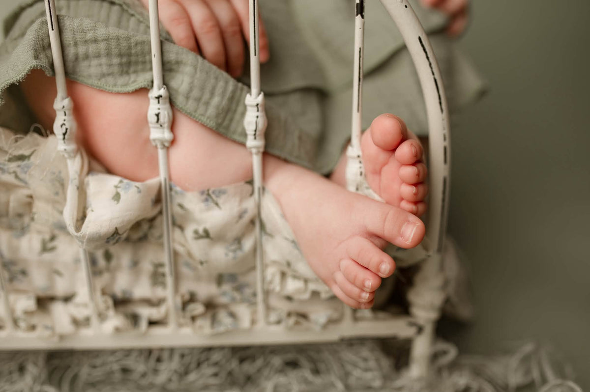 Credit Kimberly Diane Photography