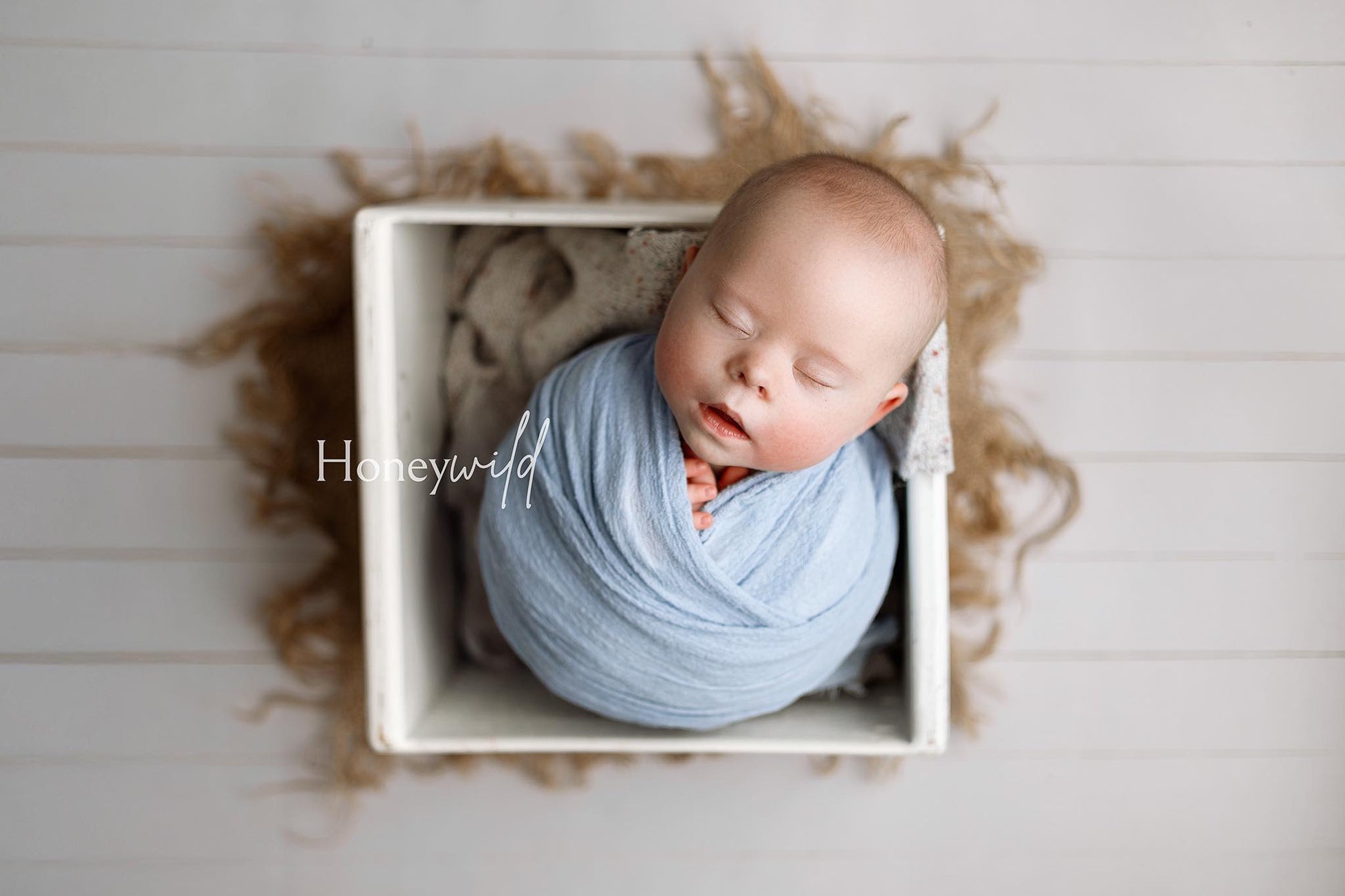 Credit Honeywild Photography