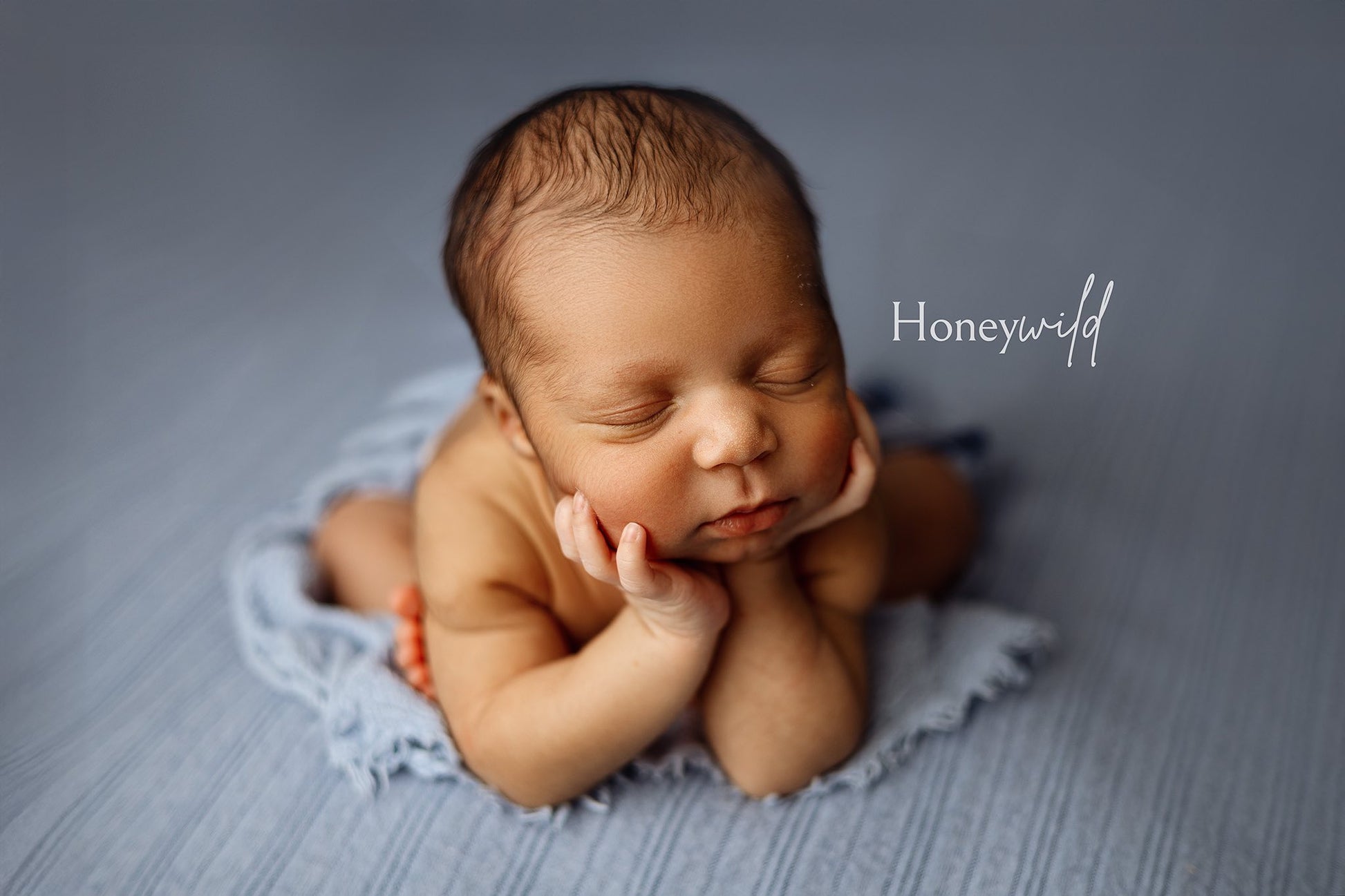 Credit Honeywild Photography