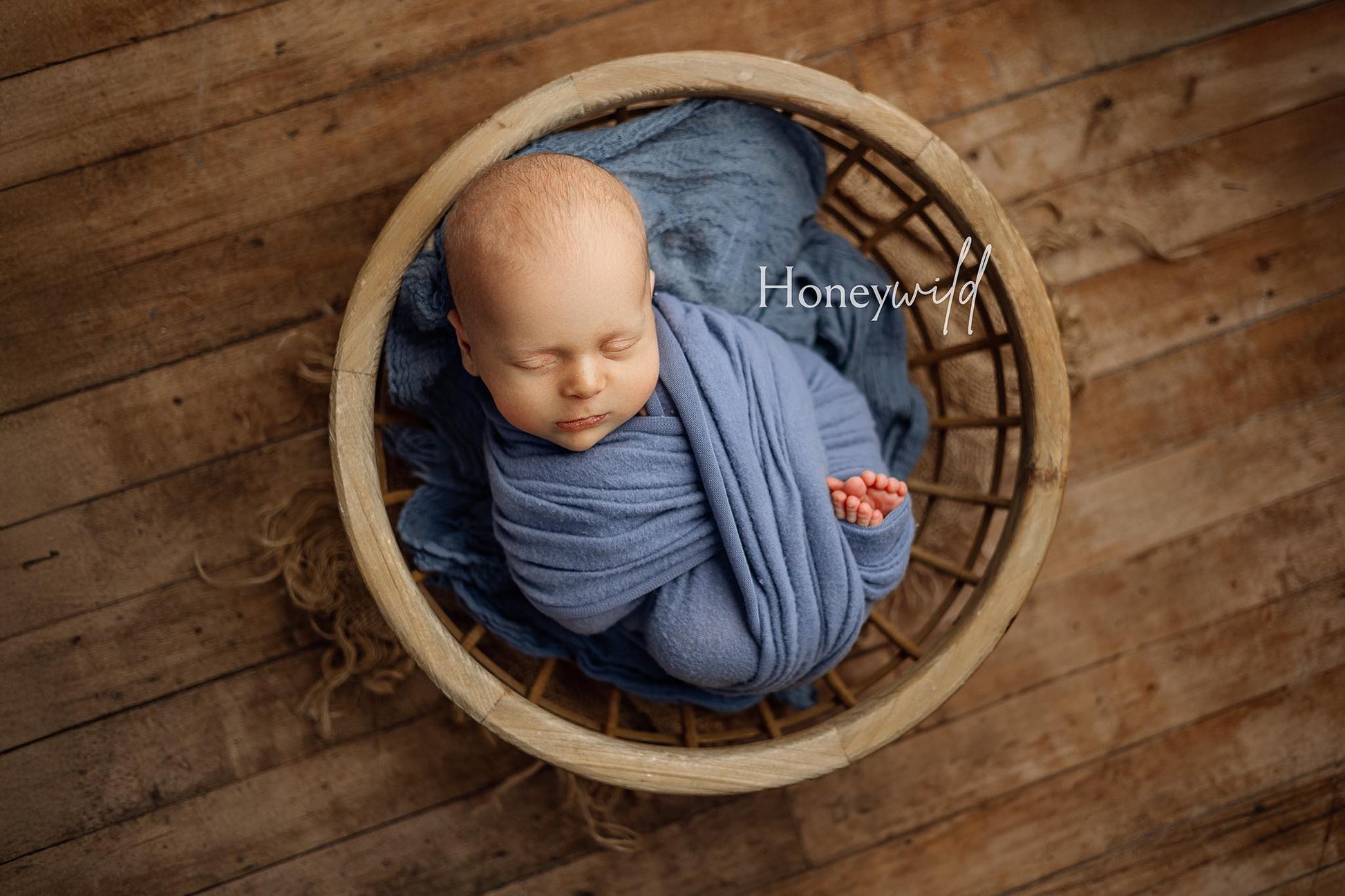 Credit Honeywild Photography