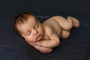 Credit Kimberly Diane Photography