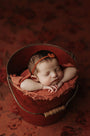 Credit Meadow & Ash Photography