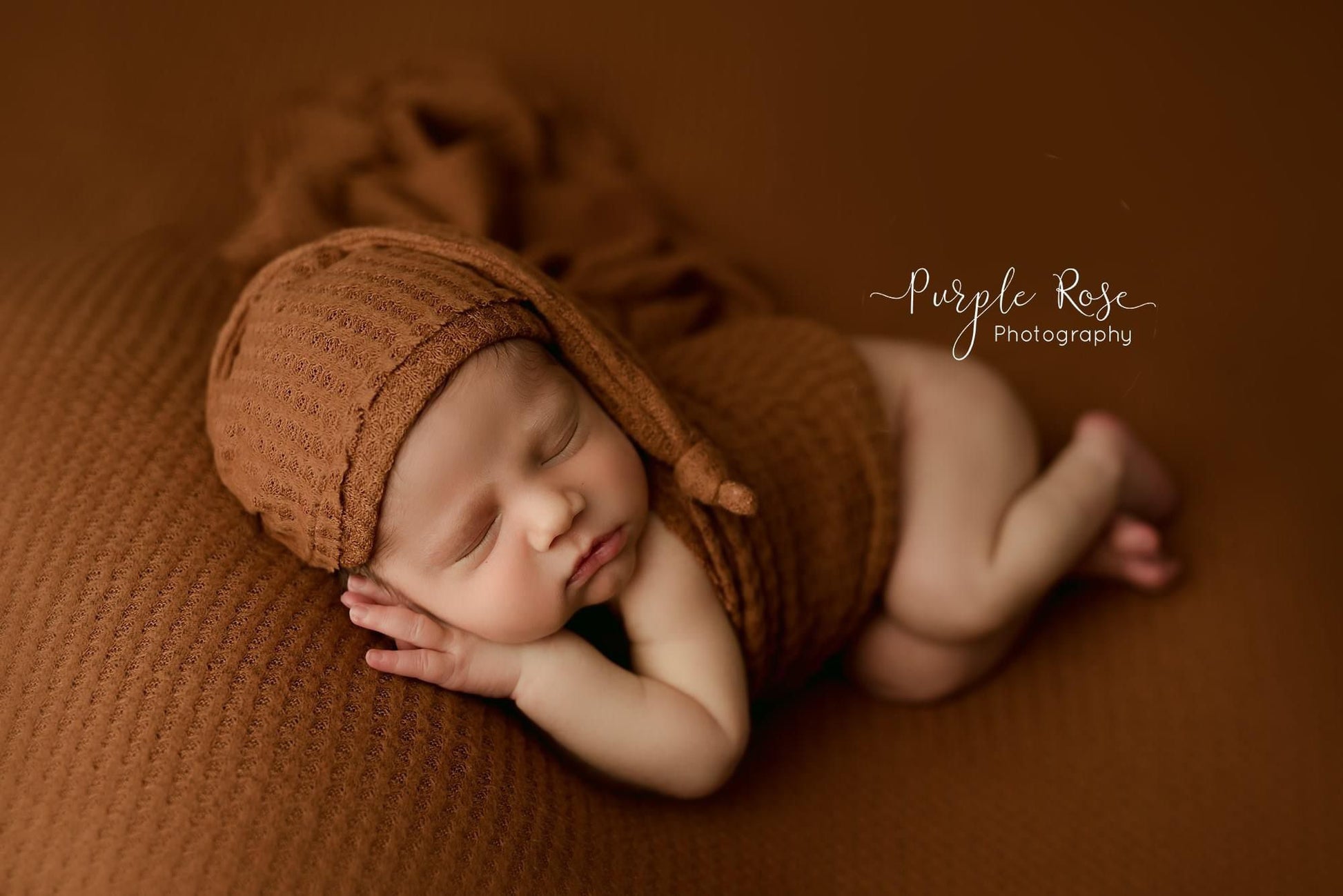 Credit Purple Rose Photography