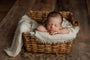 Credit Arielle Elizabeth Photography