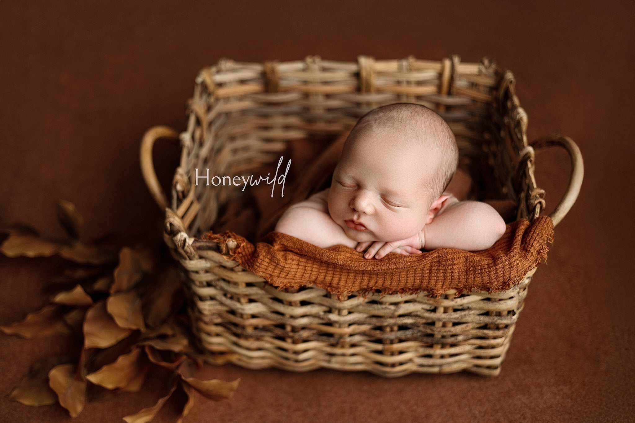 Credit Honeywild Photography