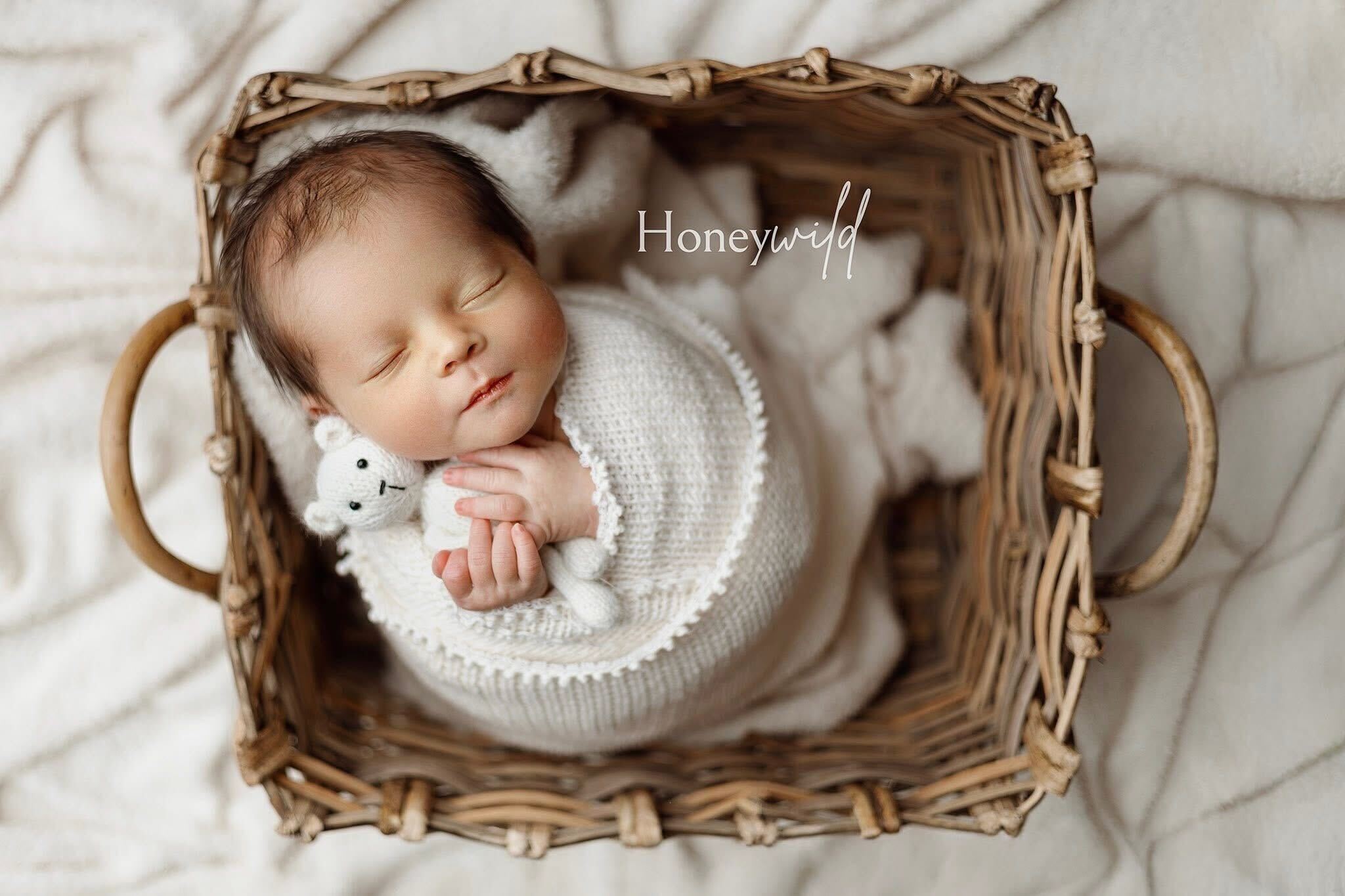 Credit Honeywild Photography