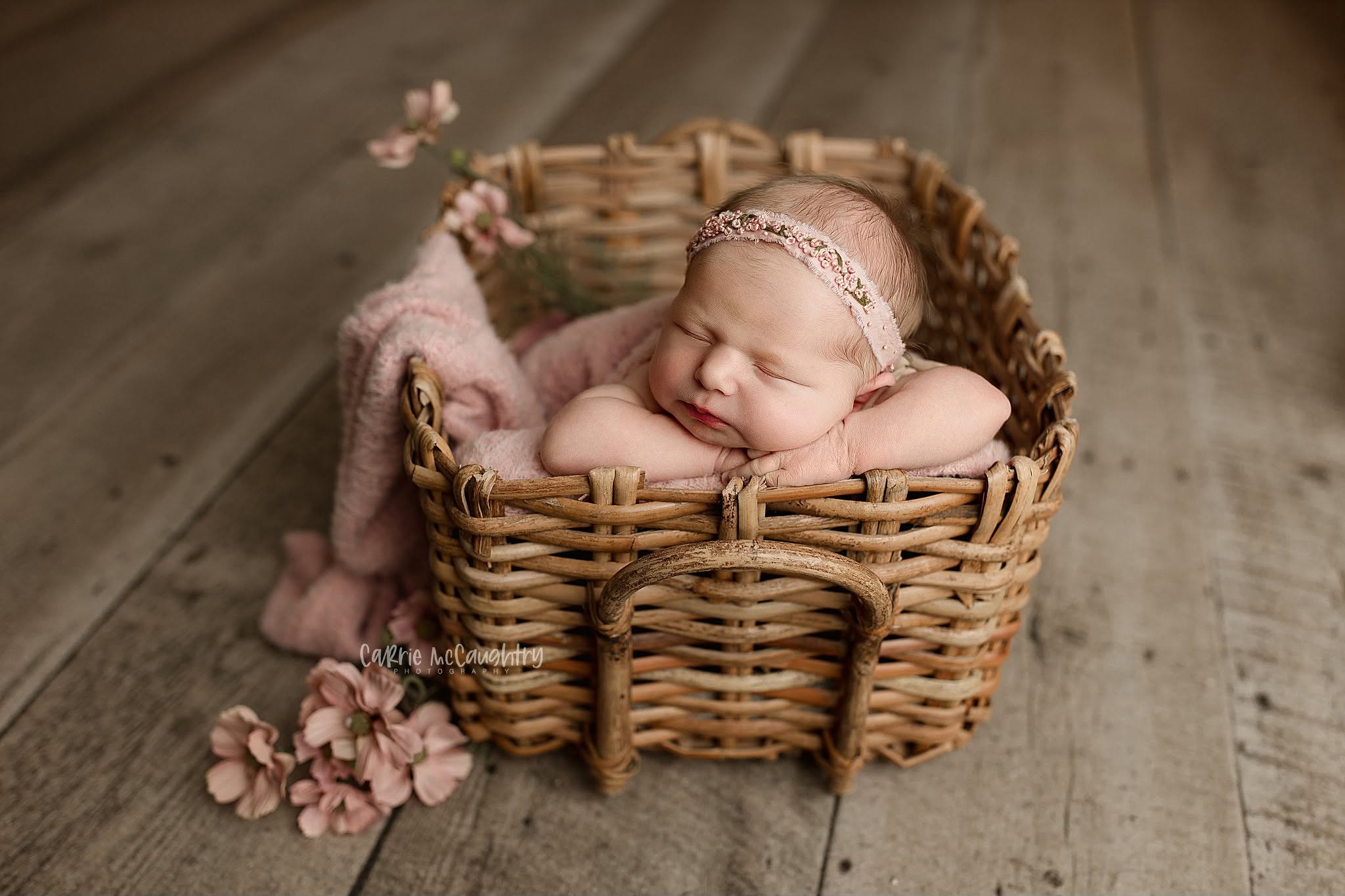 Credit Carrie McCaughtry Photography