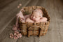 Credit Carrie McCaughtry Photography