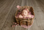 Credit Carrie McCaughtry Photography