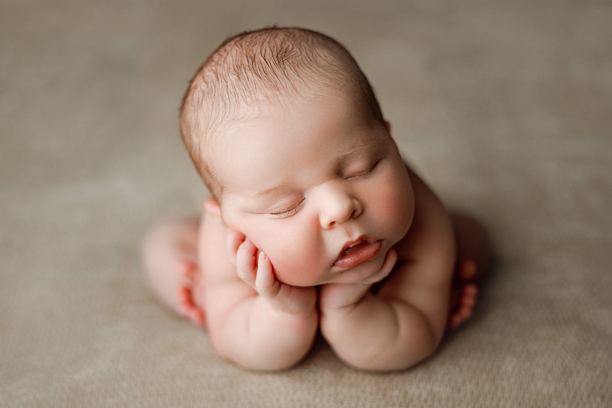 Credit Arielle Elizabeth Photography