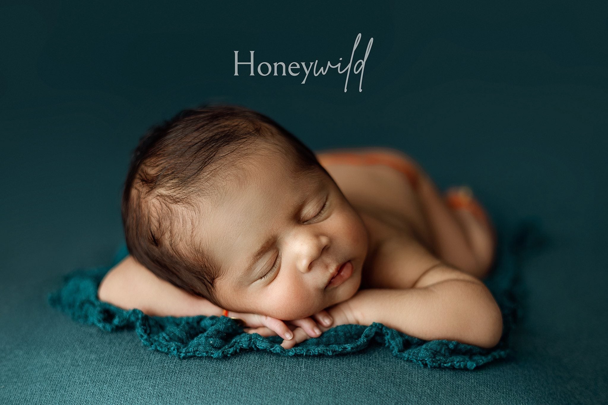Credit Honeywild Photography