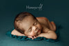 Credit Honeywild Photography