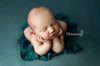Credit Honeywild Photography