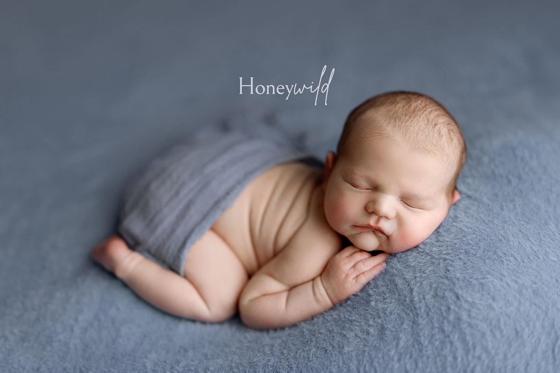 Credit Honeywild Photography