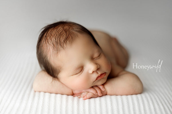 Credit Honeywild Photography