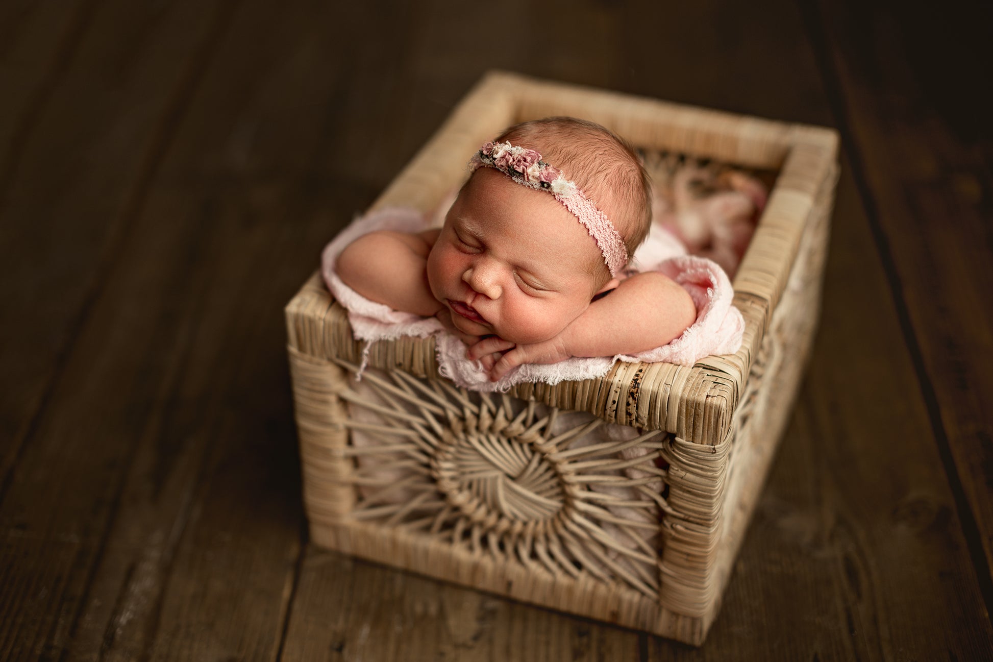 Credit Hello Little Studios