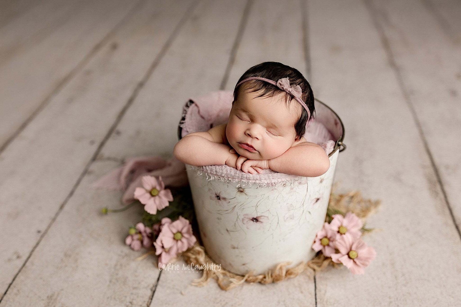 Credit Carrie McCaughtry Photography