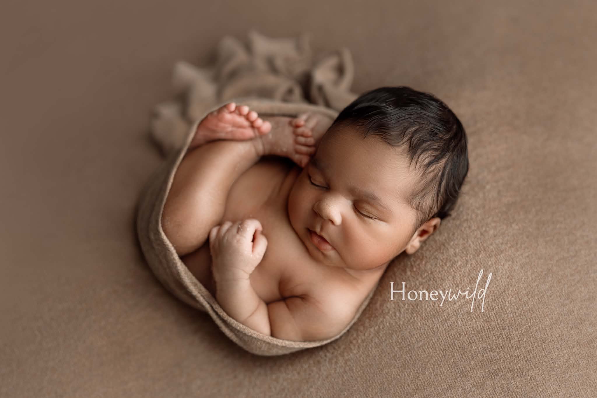 Credit Honeywild Photography