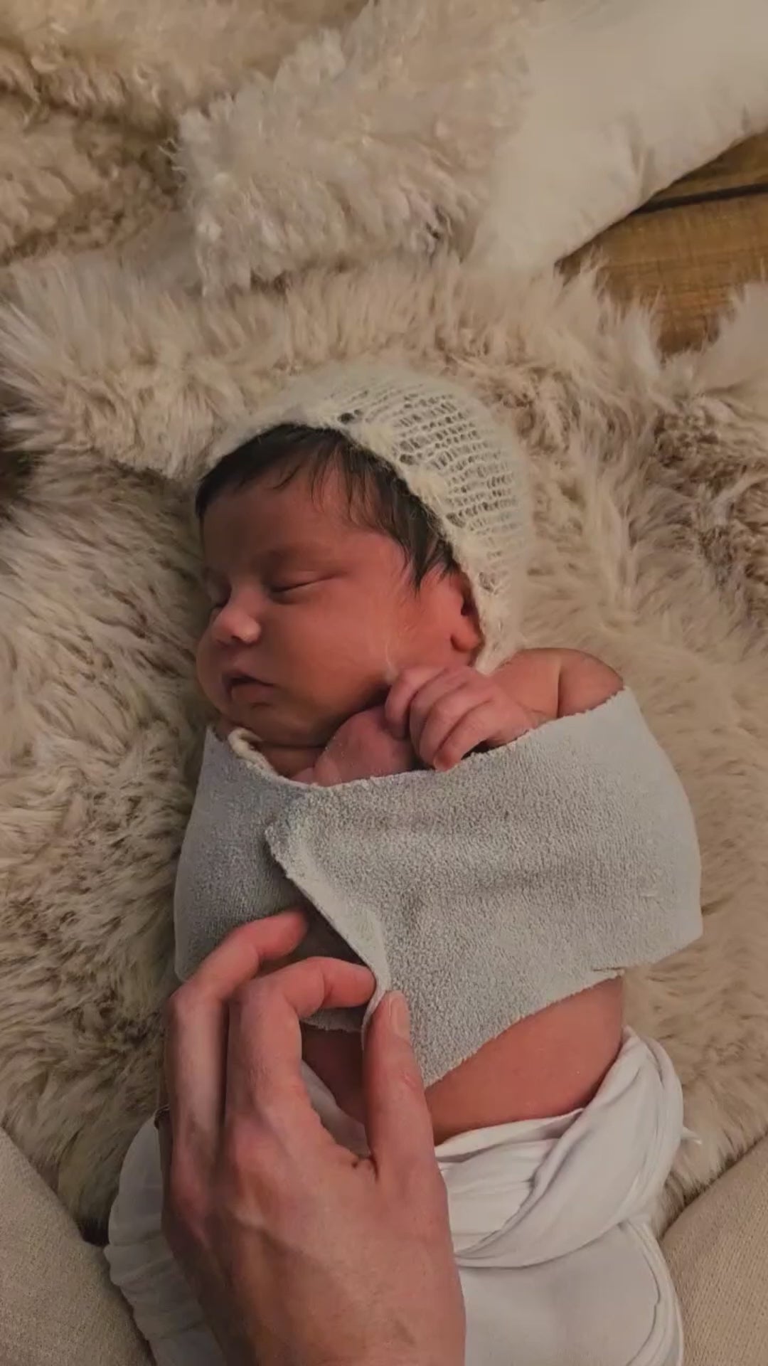 The Clinger (Preorder)