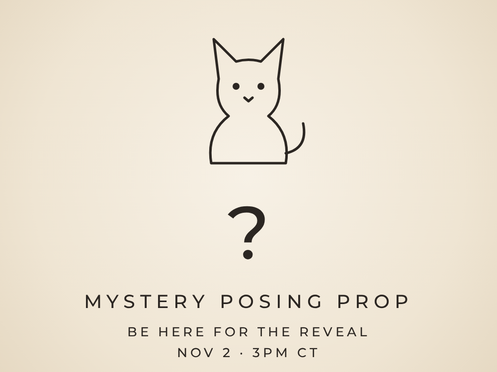 Mystery Posing Prop