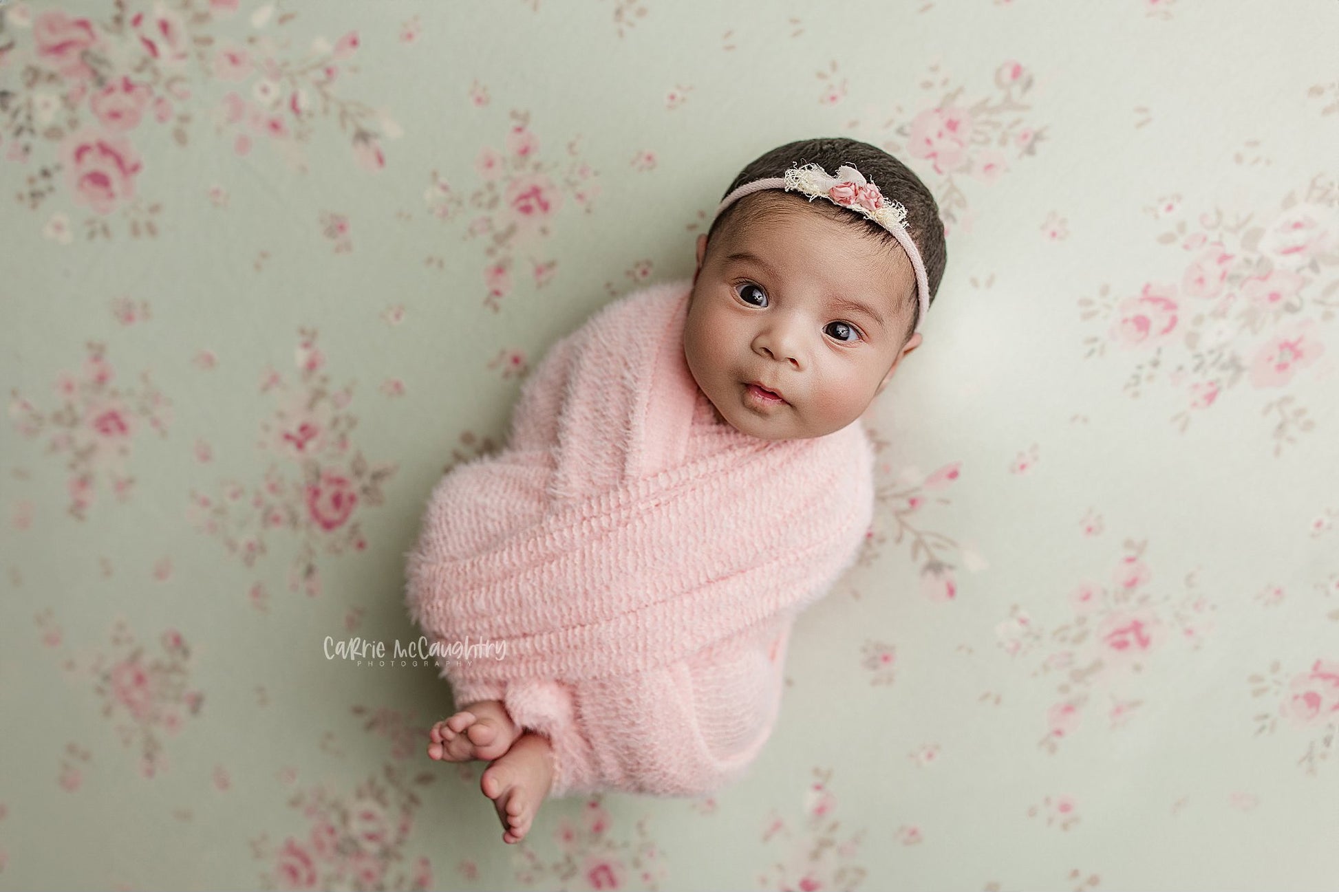 Credit Carrie McCaughtry Photography