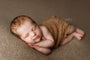 Credit Arielle Elizabeth Photography