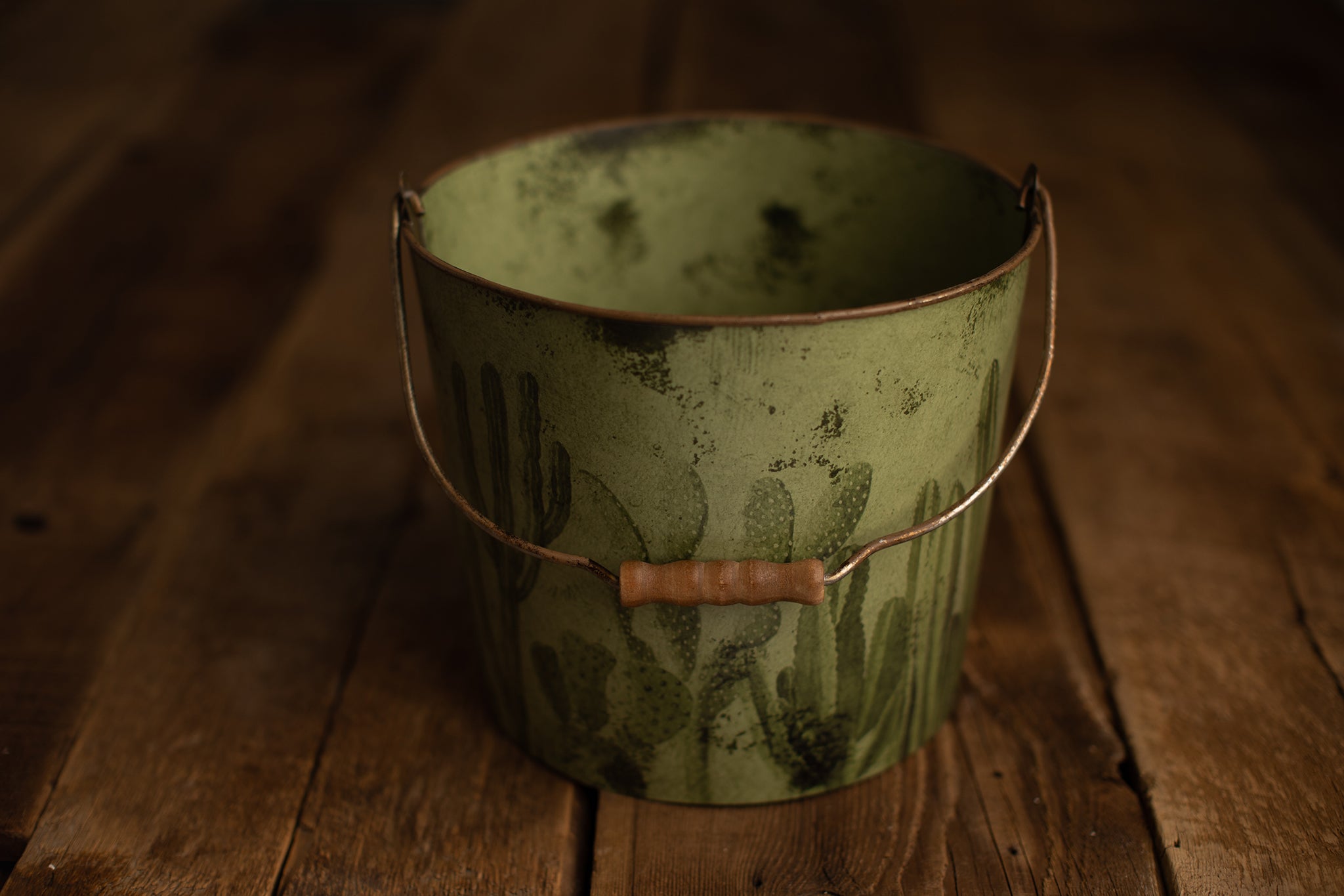 Bucket Hugger | 174 Cactus