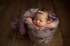 Bucket Hugger | 192 Lilac Teapot