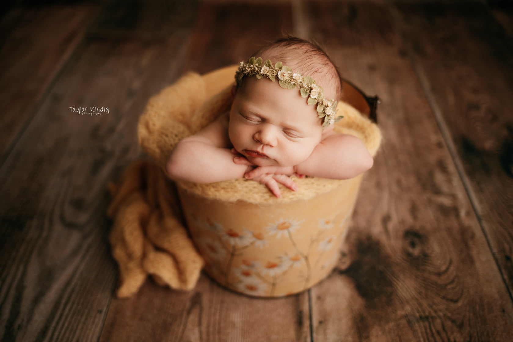 Credit Taylor Kindig Photography