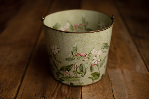 Bucket Hugger | 273 Leafy Botanical