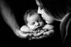 Chandler | Black-Fabric-Backdrop, Category_Smooth, Color_Black, Line_Chandler-Hello Little Props