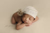 Credit Julie Freitas Photography
