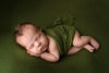 Gorga | Olivine-Fabric-Backdrop, Category_Fuzzy, Color_Green, Line_Gorga-Hello Little Props