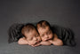 Credit Lindsey Reid Photography