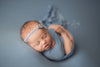 Credit Buffalo Baby Photography
