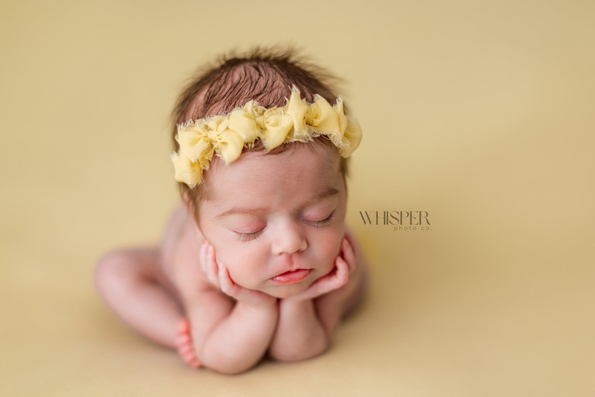 Credit Whisper Photo Co.